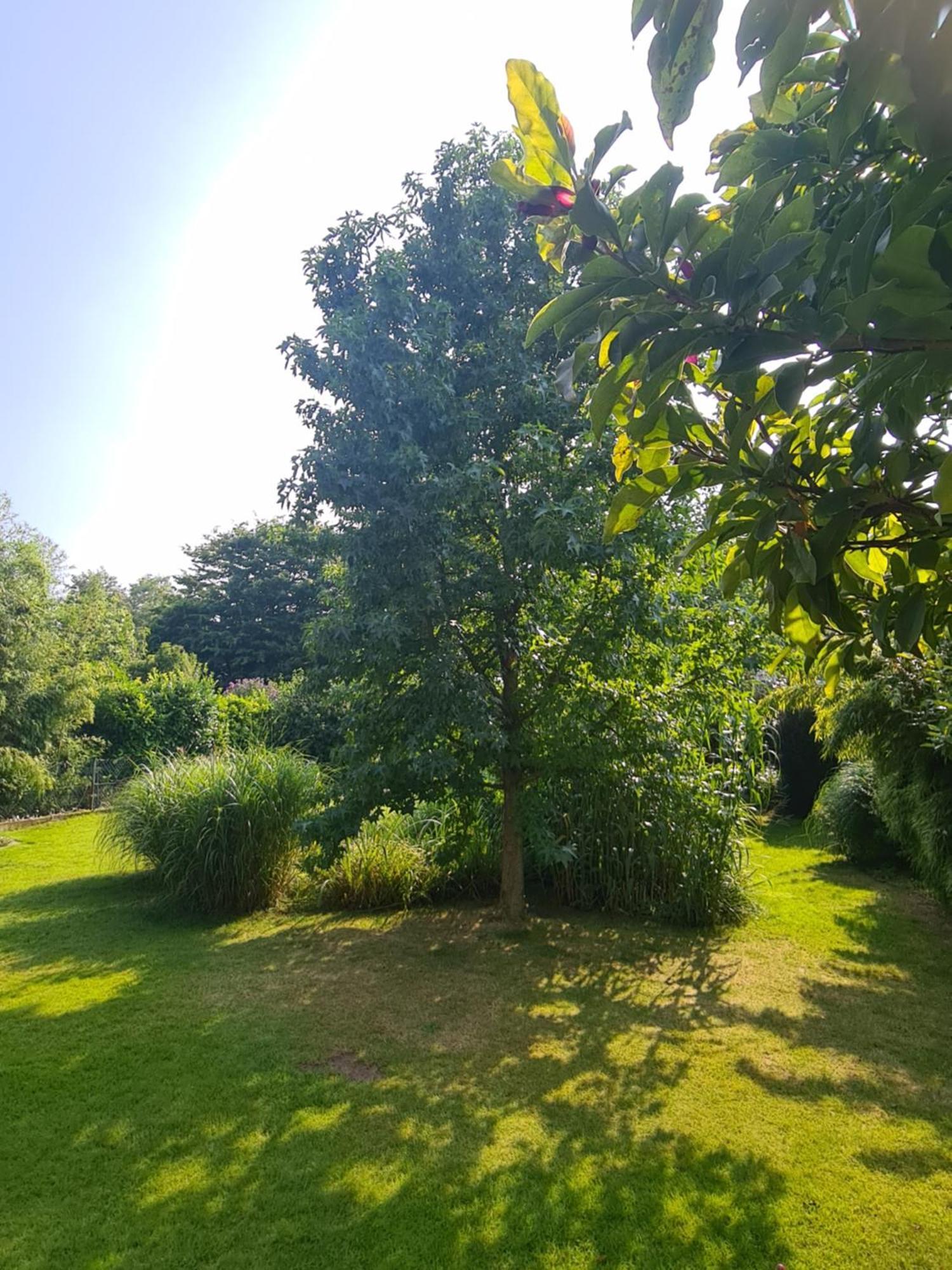 Gemuetliche Wohnung Koelner Norden Exterior foto